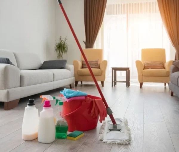 house-cleaning (1) house-cleaning (1)